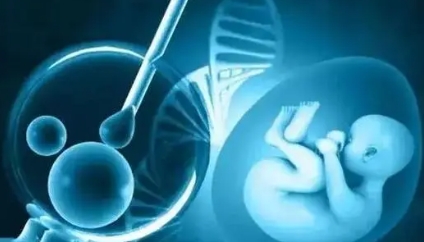 李雪梅